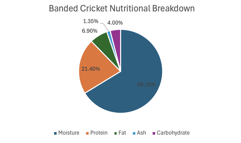 Banded Cricket Pie Chart