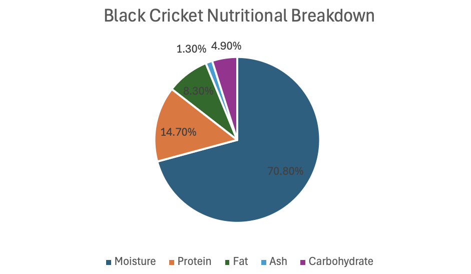 Black Cricket Pie Chart