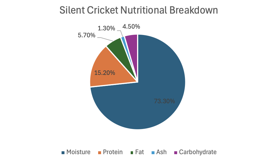 Silent Cricket Pie Chart