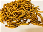 Mealworms Giant 1kg Weekly - SUPERSAVER   