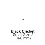 Black Crickets Small - MAXIPACK of 450 Size 2 4-6mm